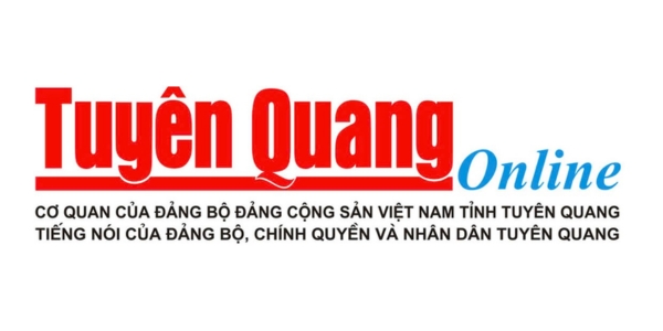 Báo Tuyên Quang nói về DSS